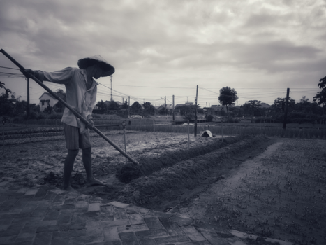 Rondreis Vietnam in twee weken - Hoi An