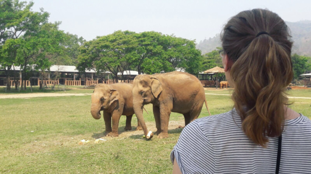 Rondreis Thailand in vier weken