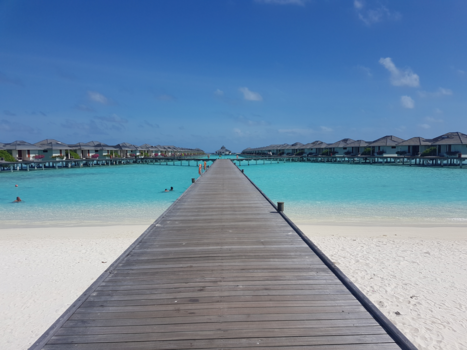 Malediven - Zon, zee en strand op zijn mooist