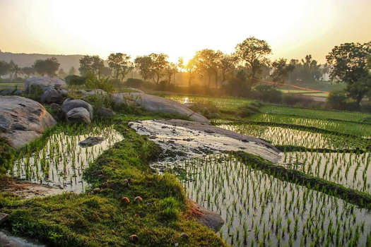 India - Early Birds get rewarded