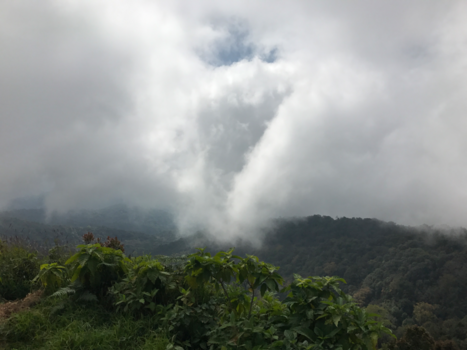 Rondreis Noord-Thailand - Bewolking