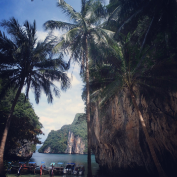 Thailand - Palm tree love