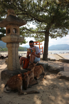 Miyajima - Chilling at Miyajima
