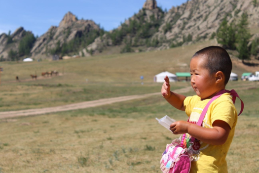 Mongolië - Terlj national park