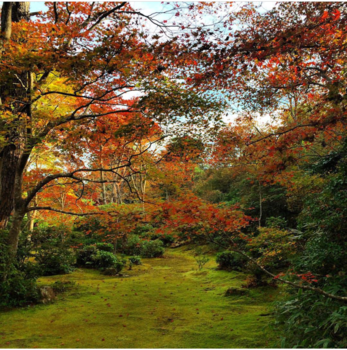 Japan - Nature as it is