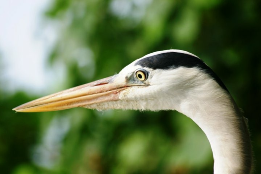 Malediven - Schoonheid