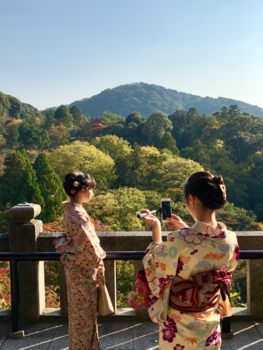 Kyoto - New era geisha's