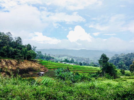 Thailand - Prachtige hike door de jungle van Chiang Mai, Thailand
