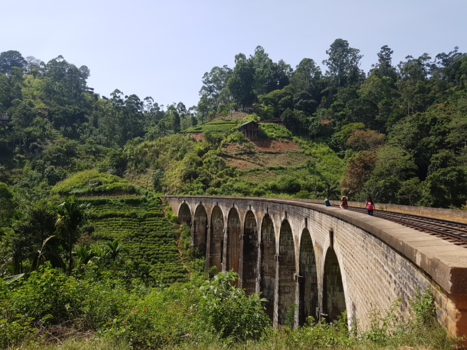 Sri Lanka - Train bridge