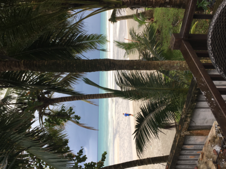 Rondreis Thailand & Cambodja - Droomvakantie