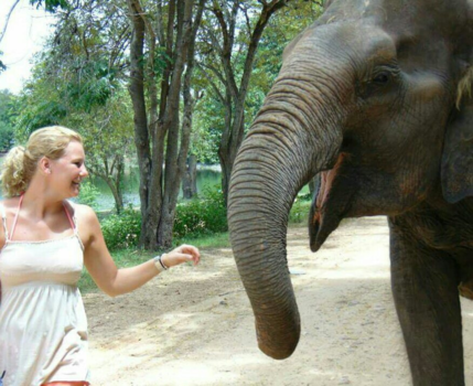 Chiang Mai - I can't speak, you are my voice. #abusing elephent on his way to freedom.