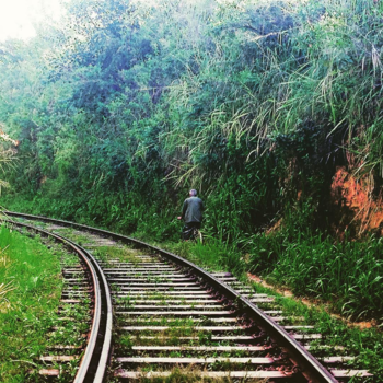 Sri Lanka - Traveler