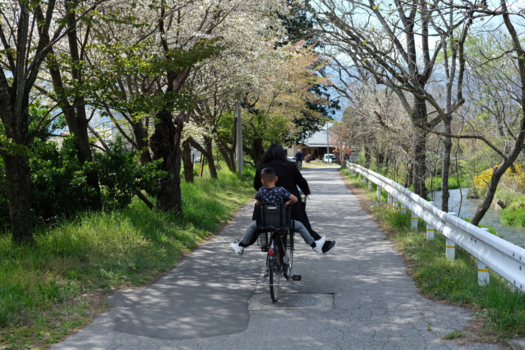Japan - Fietsend naar de Wasabi boederij