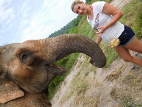 Thailand - Feeding bananas at the Hutsadin Elephant Foundation.