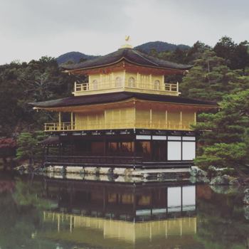 Kyoto - The beautiful Golden Temple of Kyoto