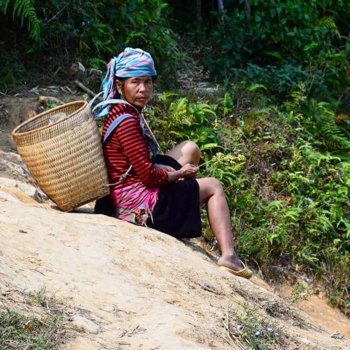 Sapa - Hiking