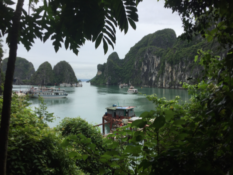 Rondreis Noord-Vietnam - Halong bay
