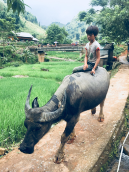 Rondreis Noord-Vietnam - Vietnam sa pa