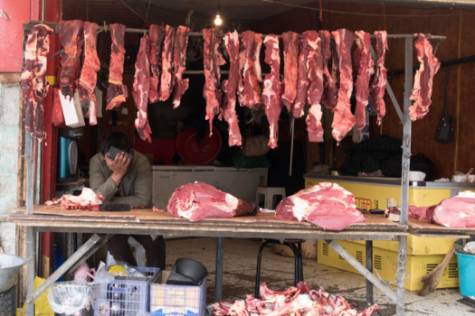 Tibet - Sorry, I don't wanna meat you