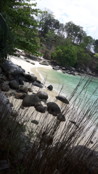 Phuket - Huwelijksaanzoek