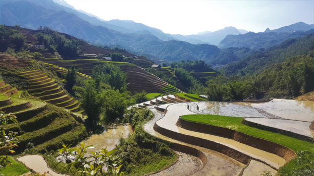 Sapa - De rijstvelden van Sapa