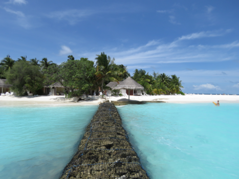 Malediven - White beach, palm trees, sun, life❤️