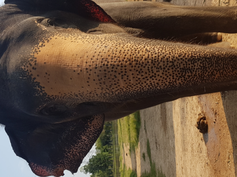 Thailand - Eyes tell more than words could ever say