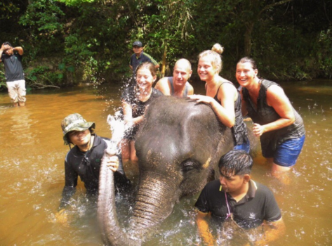 Maleisië - een Olifant wassen met het hele gezin