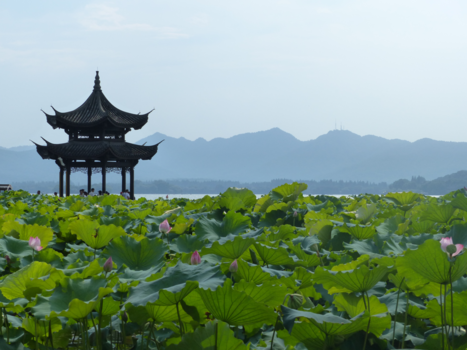 Hangzhou en West Lake - Discover yourself, like a lotus flower in full bloom