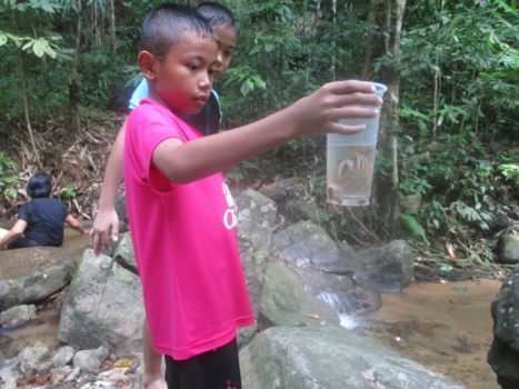 Thailand - Jungle-ervaring op Phuket