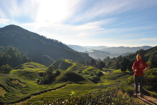 Cameron Highlands - Reisleider