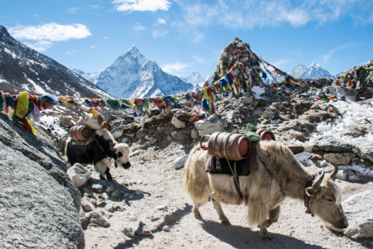 Everest Base Camp - A typical scene on the road to Everest