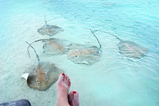 Malediven - Hanging out with my new friends #malediven