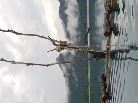 Rondreis Thailand in twee weken - Art #khao sok national park