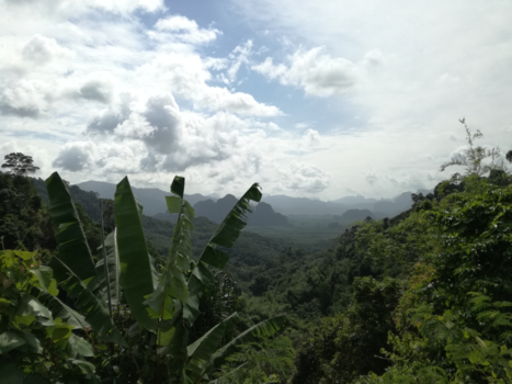 Khao Sok National Park - Uitzicht over het park