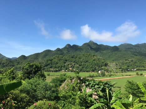 Vietnam - Het noorden. Rijstenvelden