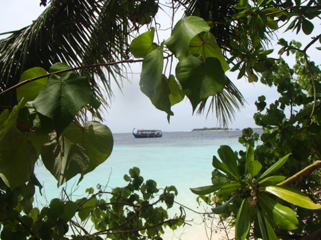 Malediven - Beautiful maldives