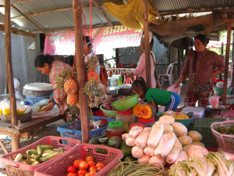 Rondreis Thailand & Cambodja - Verser kan niet