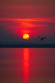 Nepal - Sunrise in Rwanda at lake Ihema, Akagera