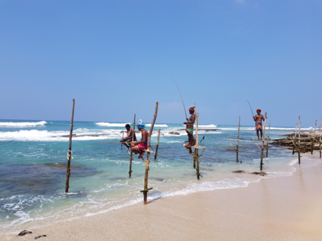 Sri Lanka - Pearl of the Indian Ocean