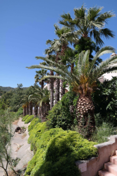 Turkije - Natuur in Turkije