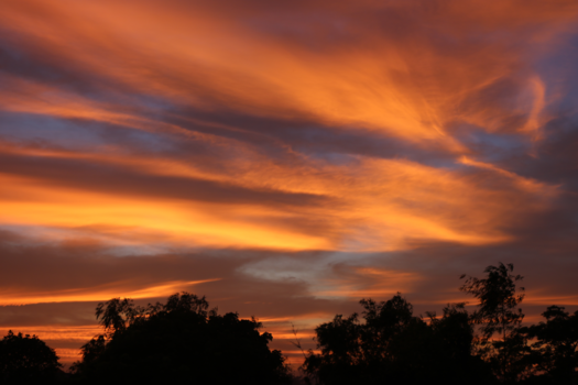 Vietnam - Reis van de liefde