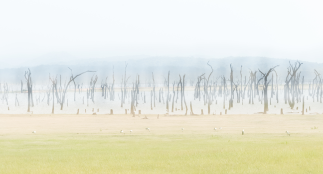 Sri Lanka - Natuur anders