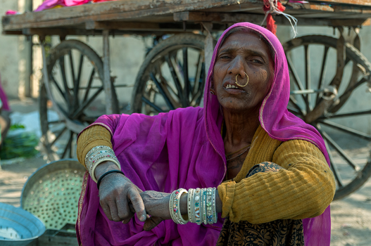 India - Marktkoopvrouw in Jojawer