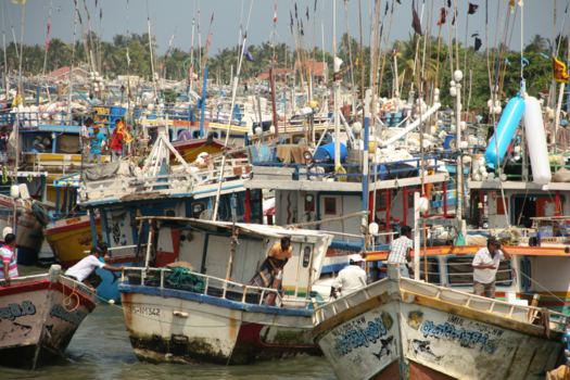 Sri Lanka - Fishing port of Negombo