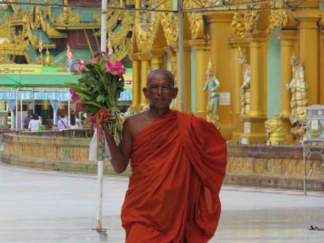 Yangon - Een monnik in de Schwedagon Pagoda in Myanmar