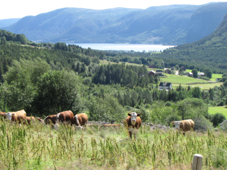 Israël - Noorwegen, fenomenaal!