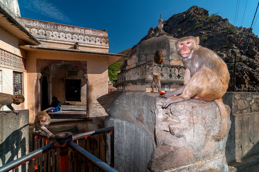 India - Galta Tempel