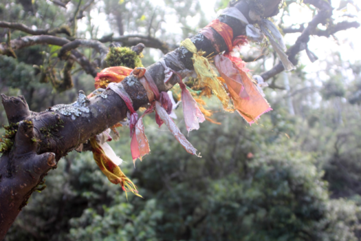 Sri Lanka - Sri Lanka - kleurig religie