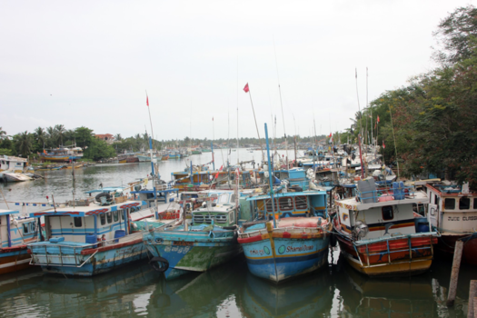 Sri Lanka - Sri Lanka - kleurrijk werken